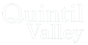 Quintil Valley Academy